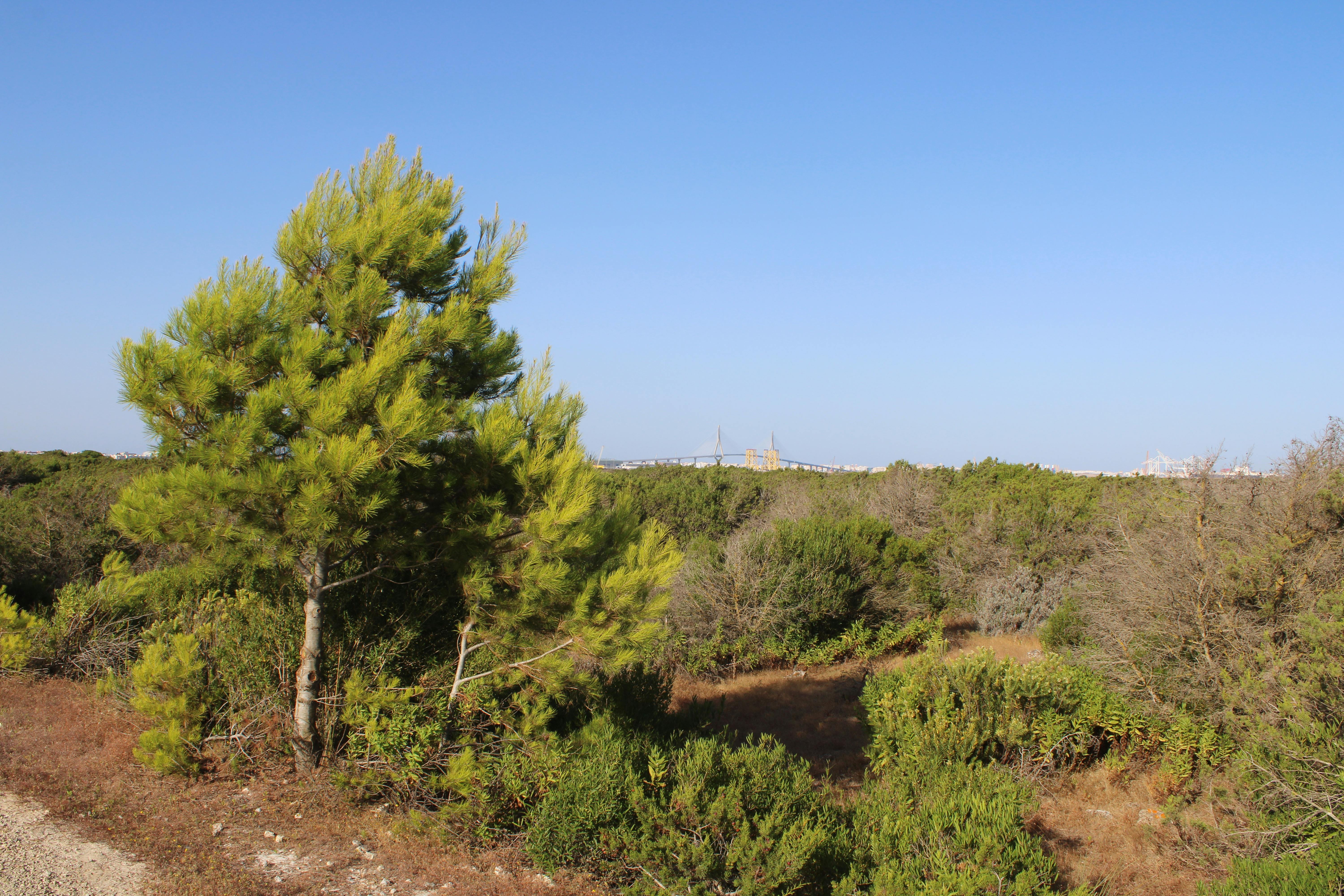 parque natural de los Toruños, en El Puerto de Santa Maria