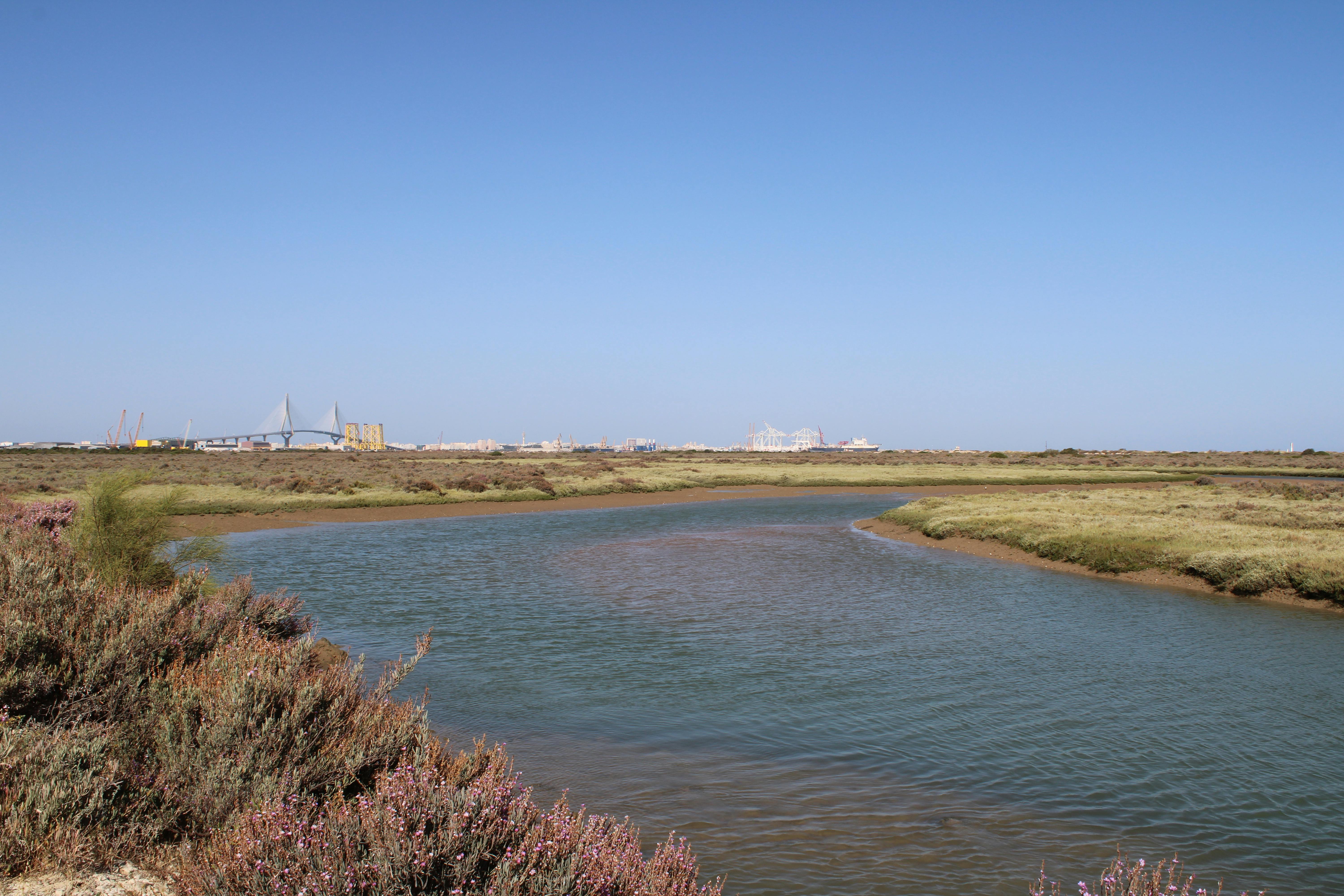 parque natural de los Toruños, en El Puerto de Santa Maria