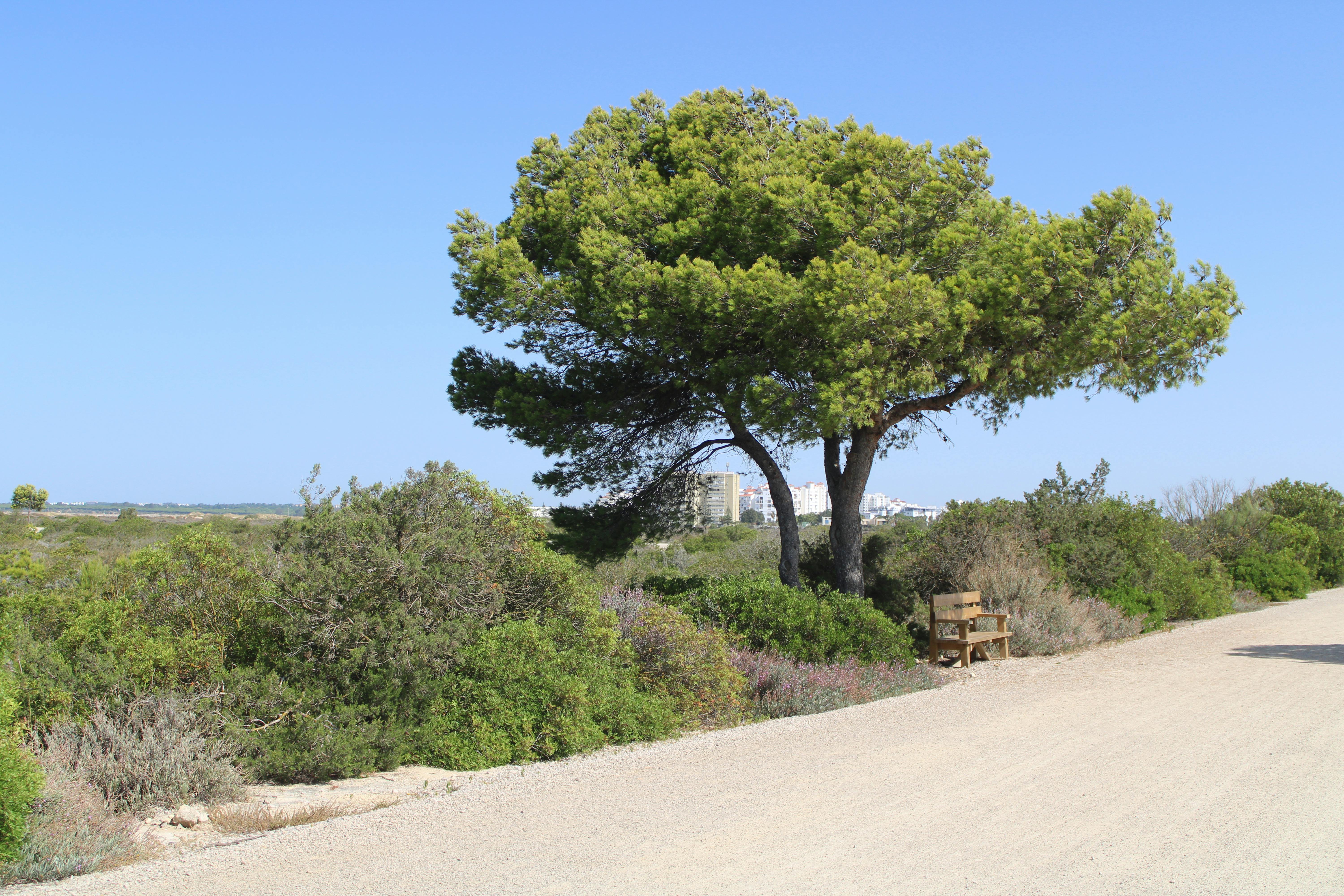 parque natural de los Toruños, en El Puerto de Santa Maria