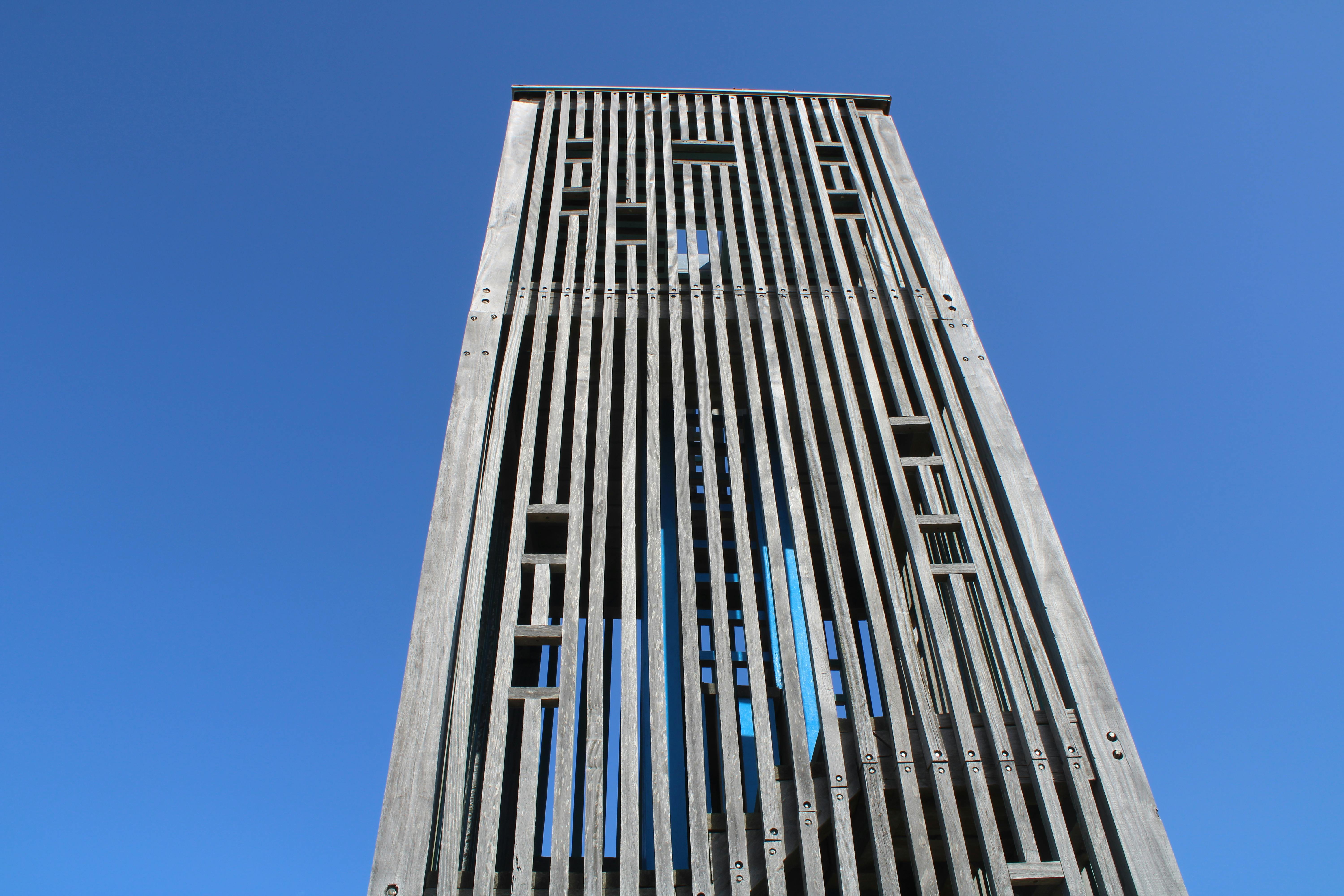 parque natural de los Toruños, en El Puerto de Santa Maria
