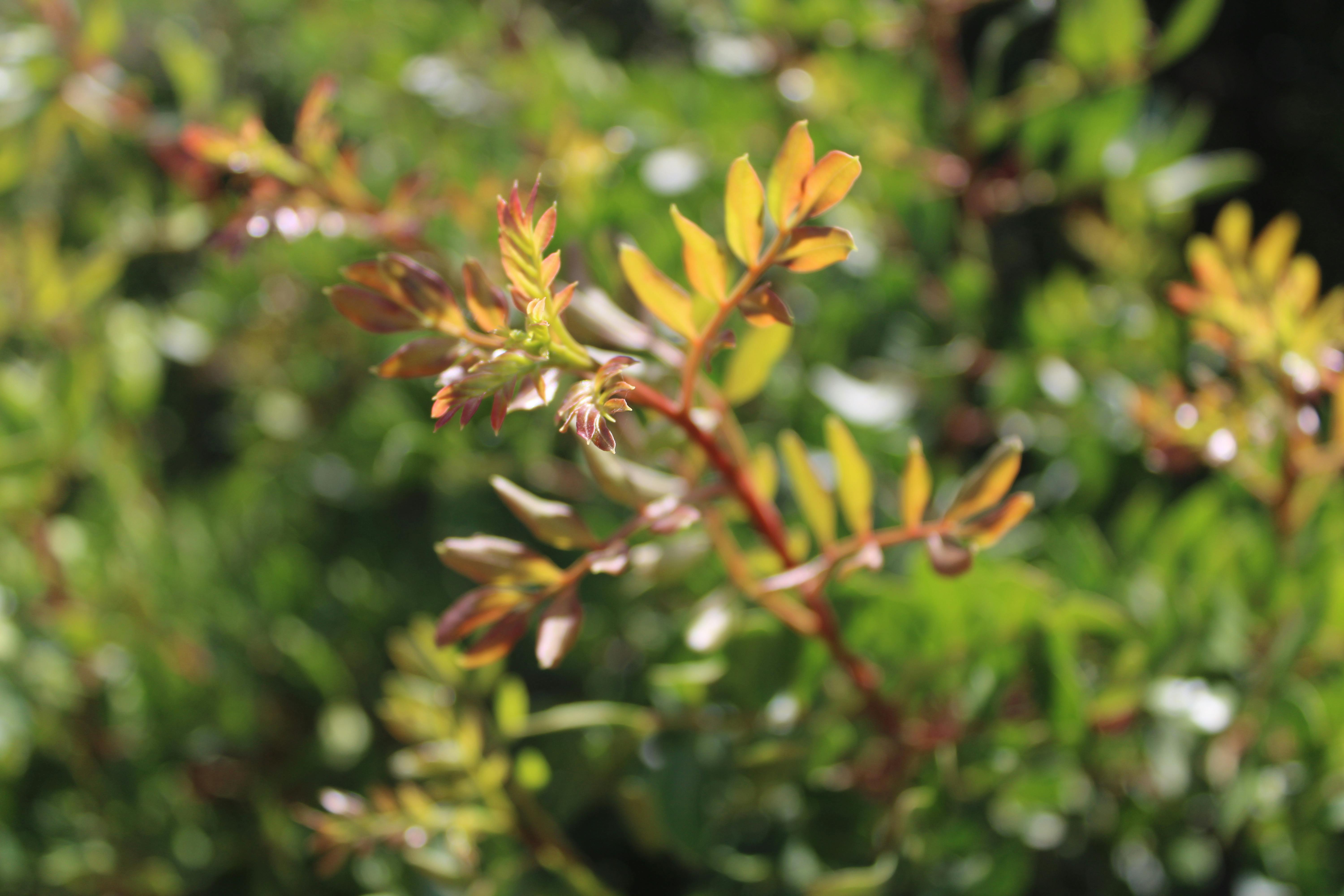 parque natural de los Toruños, en El Puerto de Santa Maria