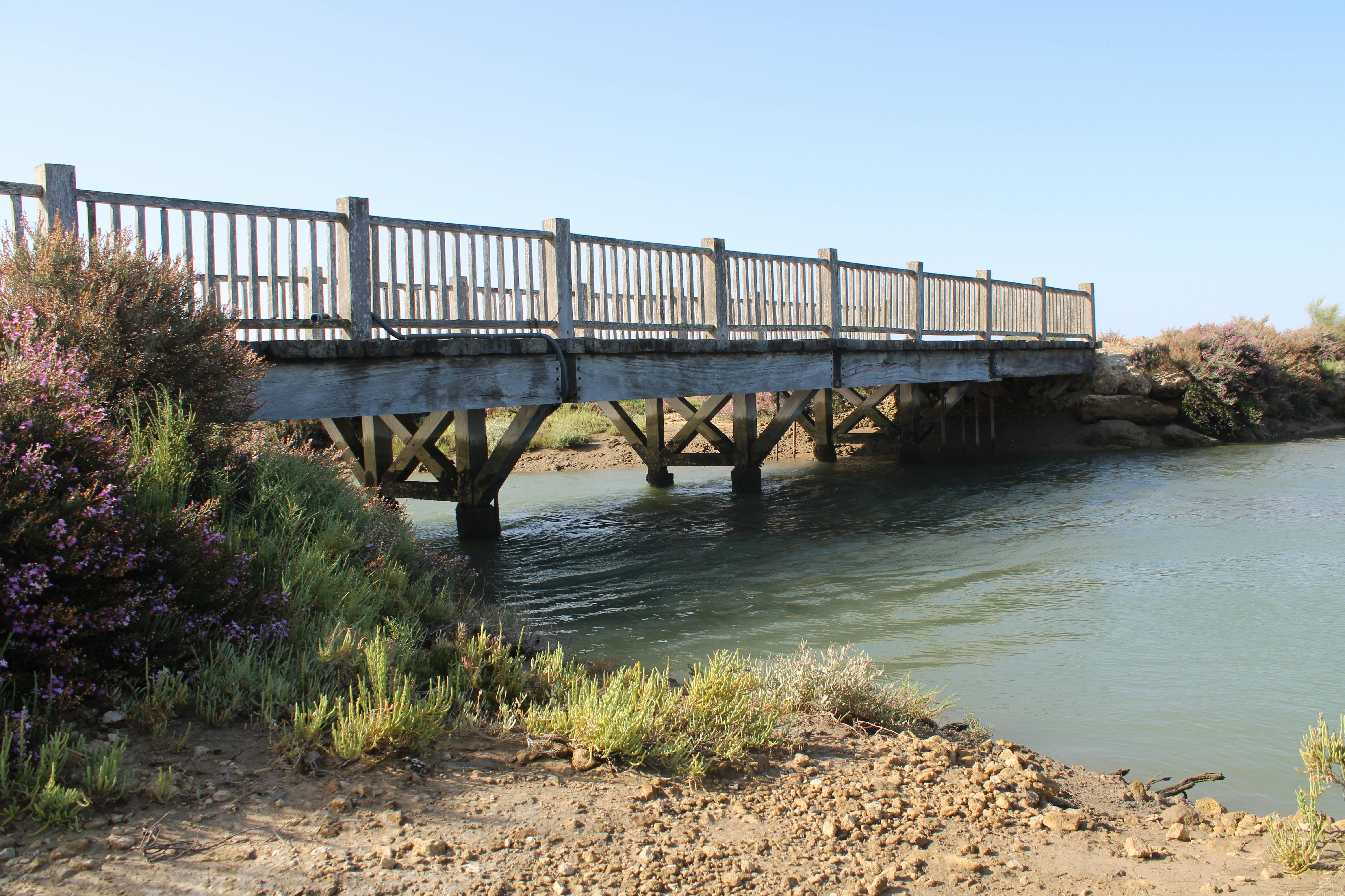 parque natural de los Toruños, en El Puerto de Santa Maria