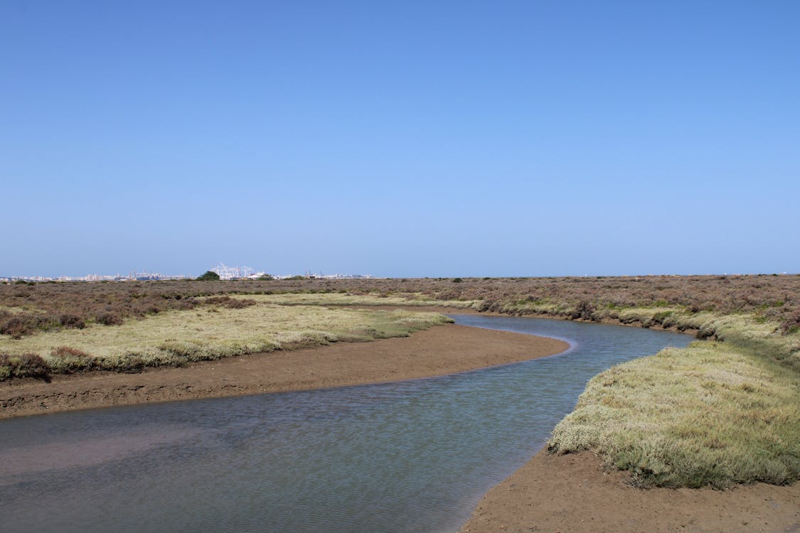 parque natural de los Toruños, en El Puerto de Santa Maria