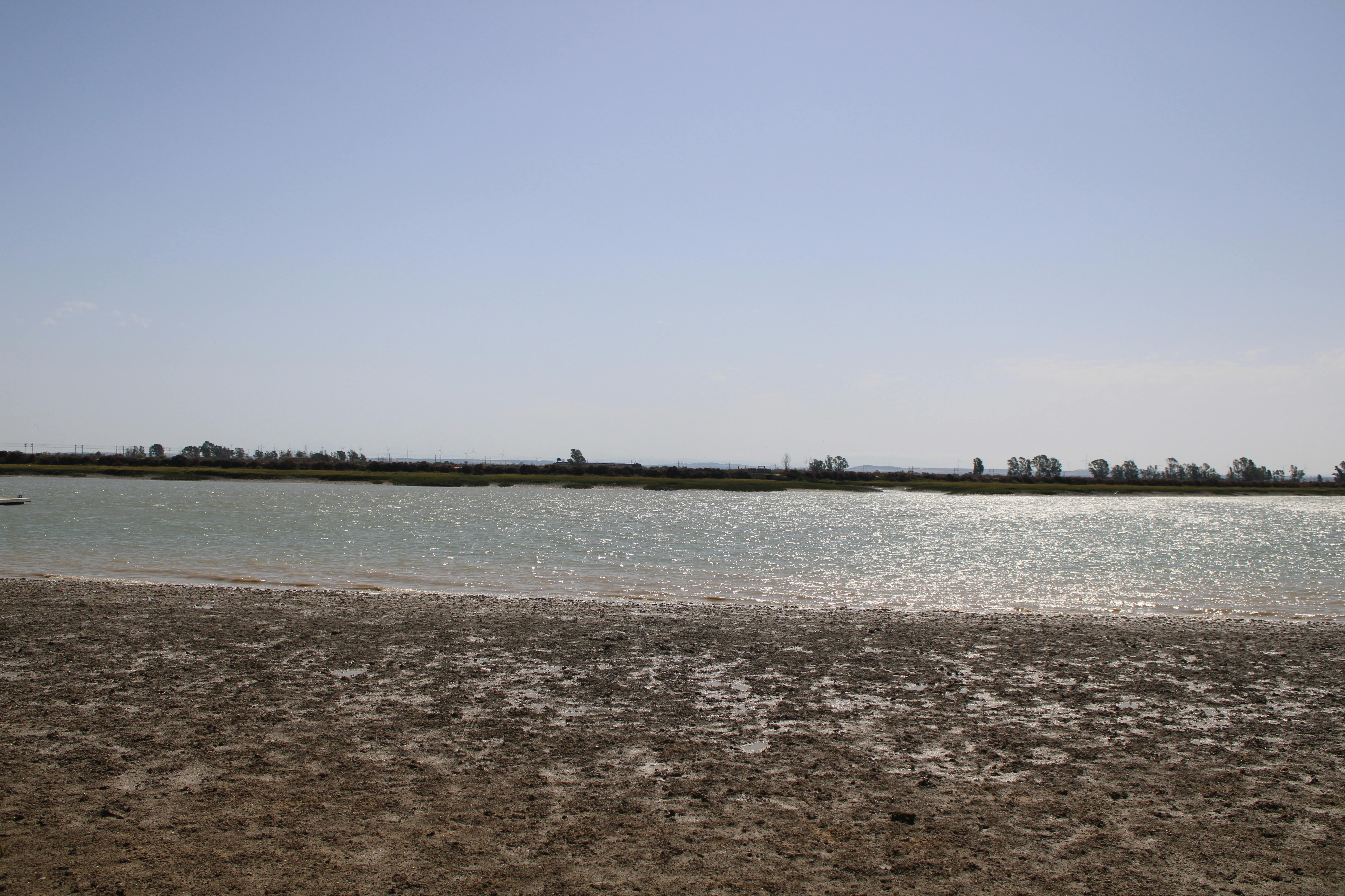 parque natural de los Toruños, en El Puerto de Santa Maria