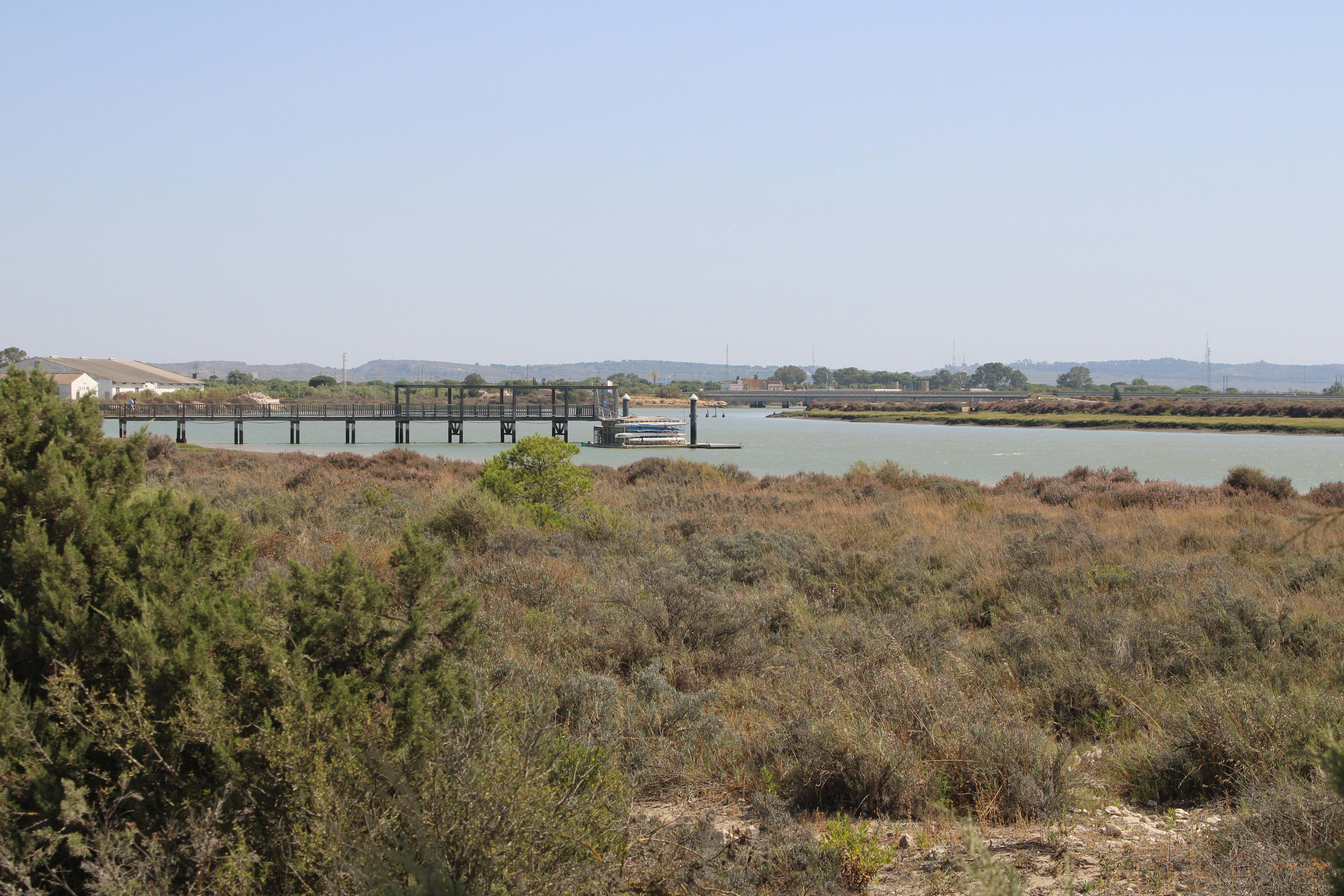 parque natural de los Toruños, en El Puerto de Santa Maria
