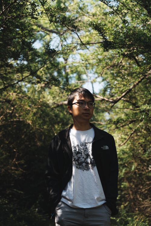 Free A young man in eyeglasses leisurely walks through a sunlit forest with casual style. Stock Photo