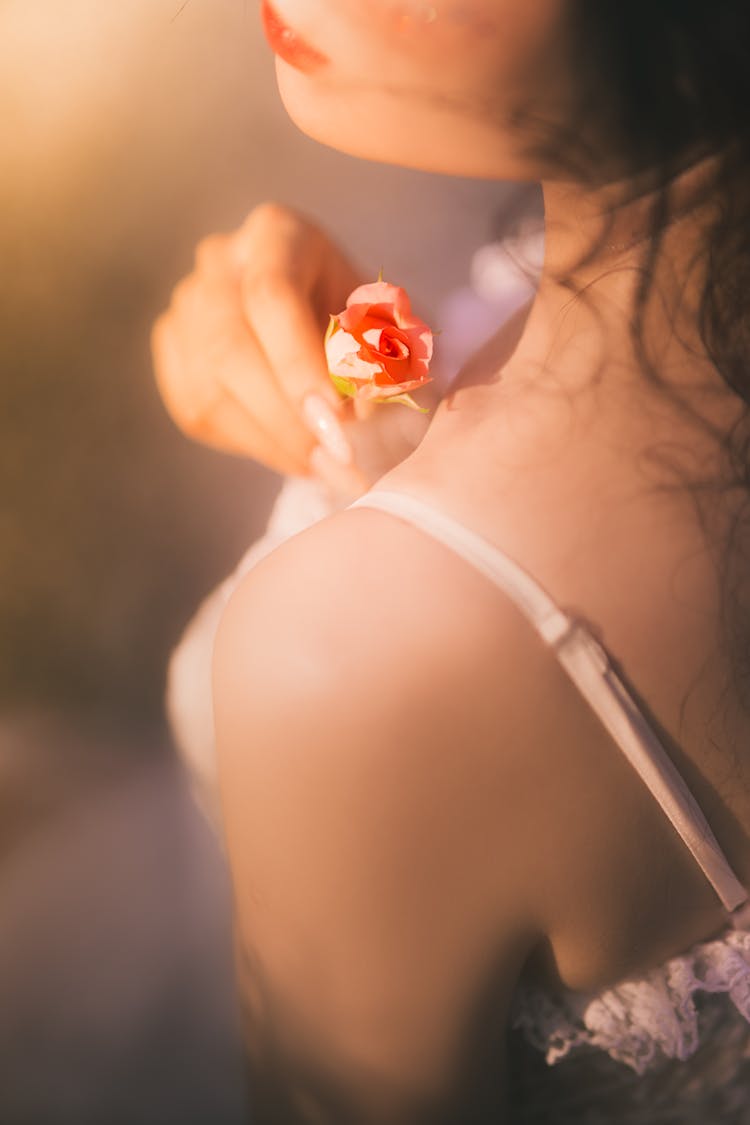 Woman Hand Holding Small Flower