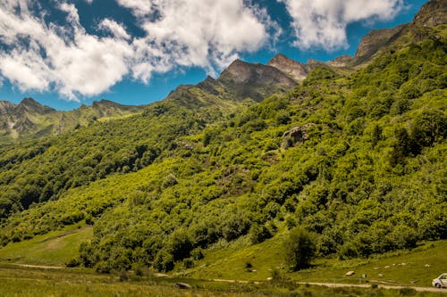 açık hava, ağaç, ağaçlar içeren Ücretsiz stok fotoğraf