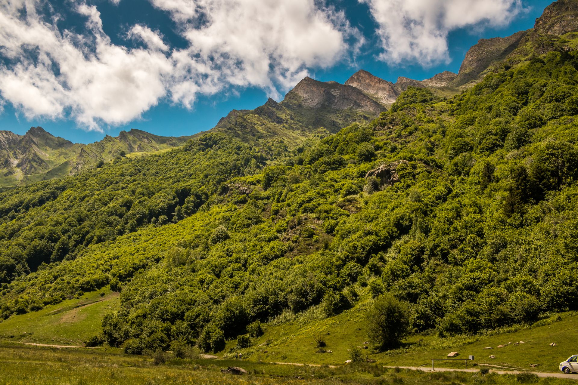 Explore the vibrant greenery and majestic mountains of the French countryside under a clear blue sky.