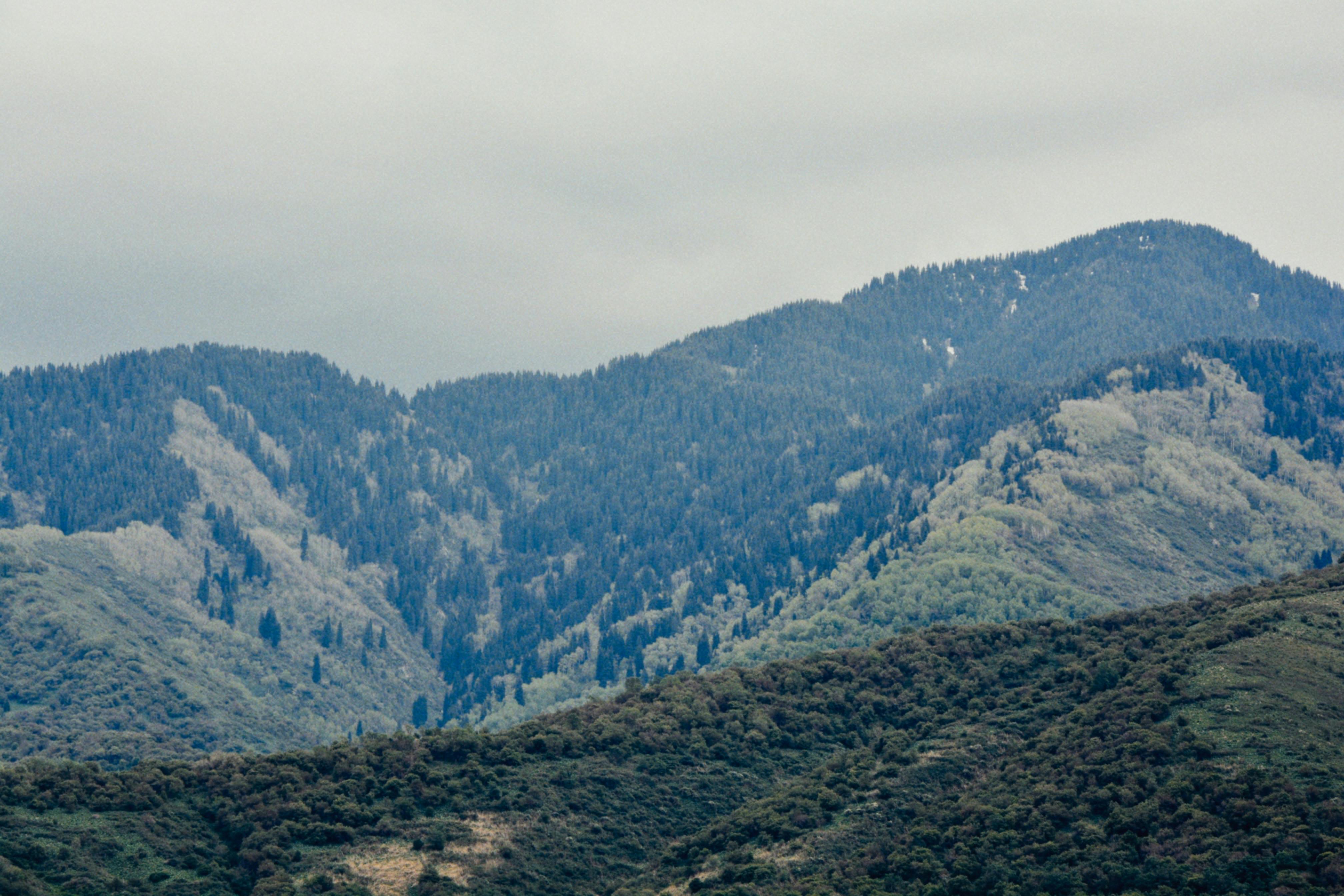 Landscape of Hills and Forest · Free Stock Photo