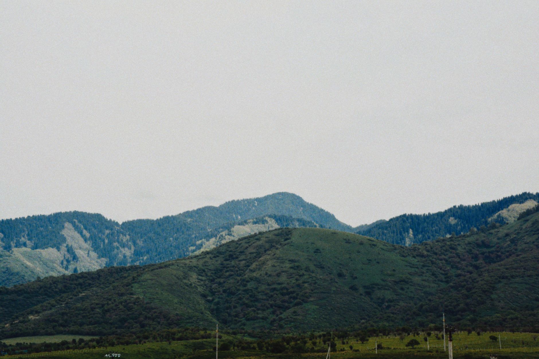 Explore the serene green hills and mountains of Talgar, Kazakhstan, showcasing natural beauty.
