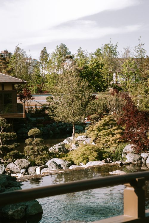 Free Peaceful Japanese garden scene with pond and trees in Krasnodar, Russia. Stock Photo