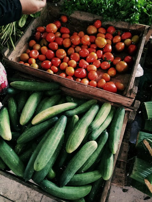 Photo of Cucumbers and Tomatoes in Wooden Crates