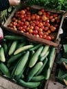 Photo of Cucumbers and Tomatoes in Wooden Crates