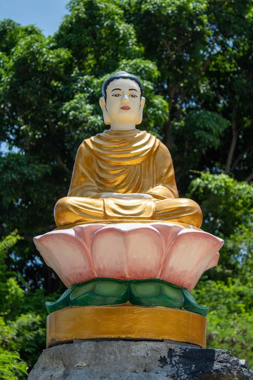 Foto profissional grátis de arte, árvores, Buda