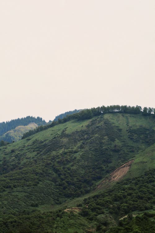 Základová fotografie zdarma na téma kopec, příroda, ptačí perspektivy