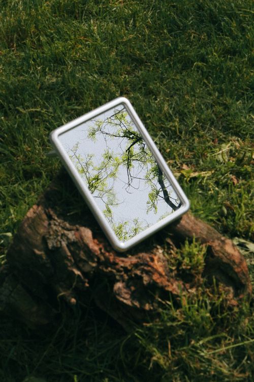 Free A mirror resting on a log reflects a tree against a grassy backdrop, creating a serene nature scene. Stock Photo
