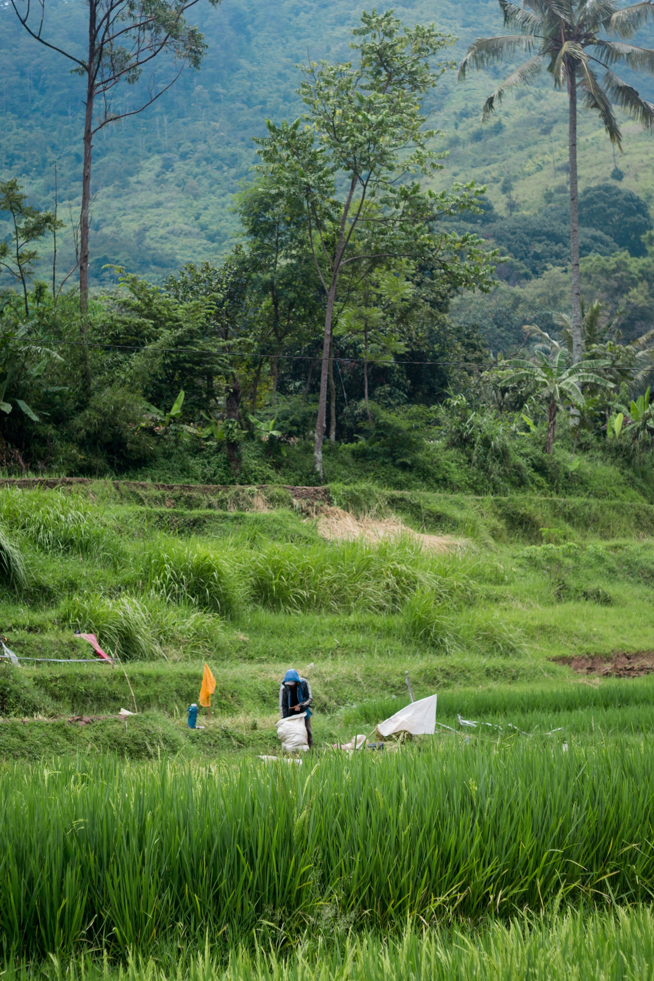 People on Rural Field · Free Stock Photo