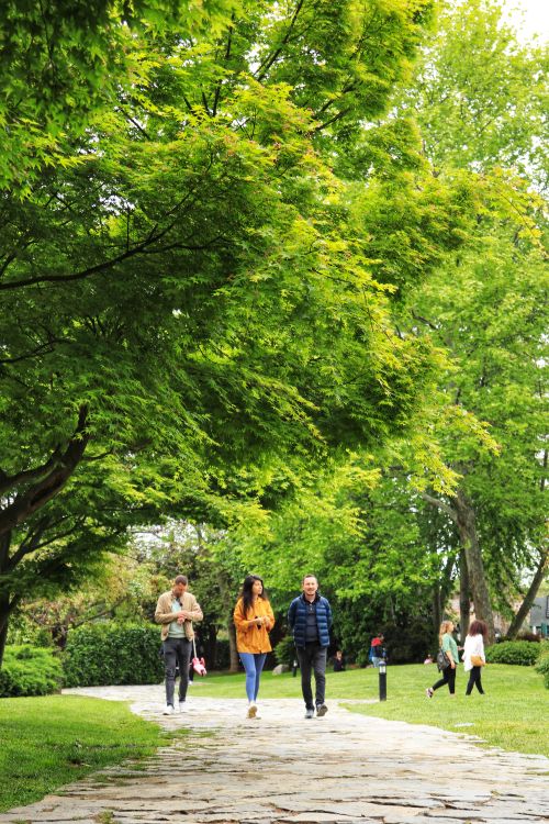 Free People enjoying a stroll on a footpath in a vibrant park with lush green trees during a sunny summer day. Stock Photo