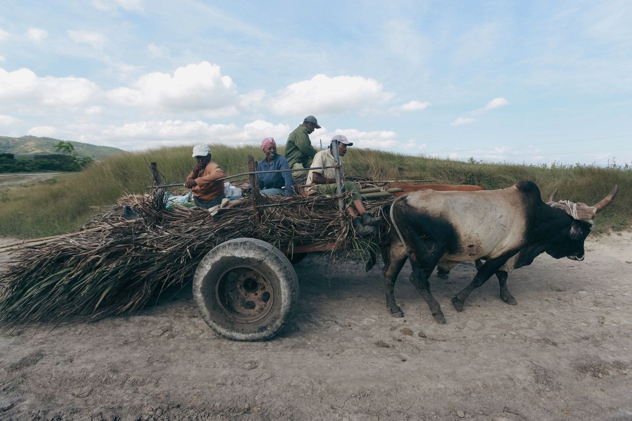 Mondulkiri Farm Immersion & the Mekong — Cambodia tour package