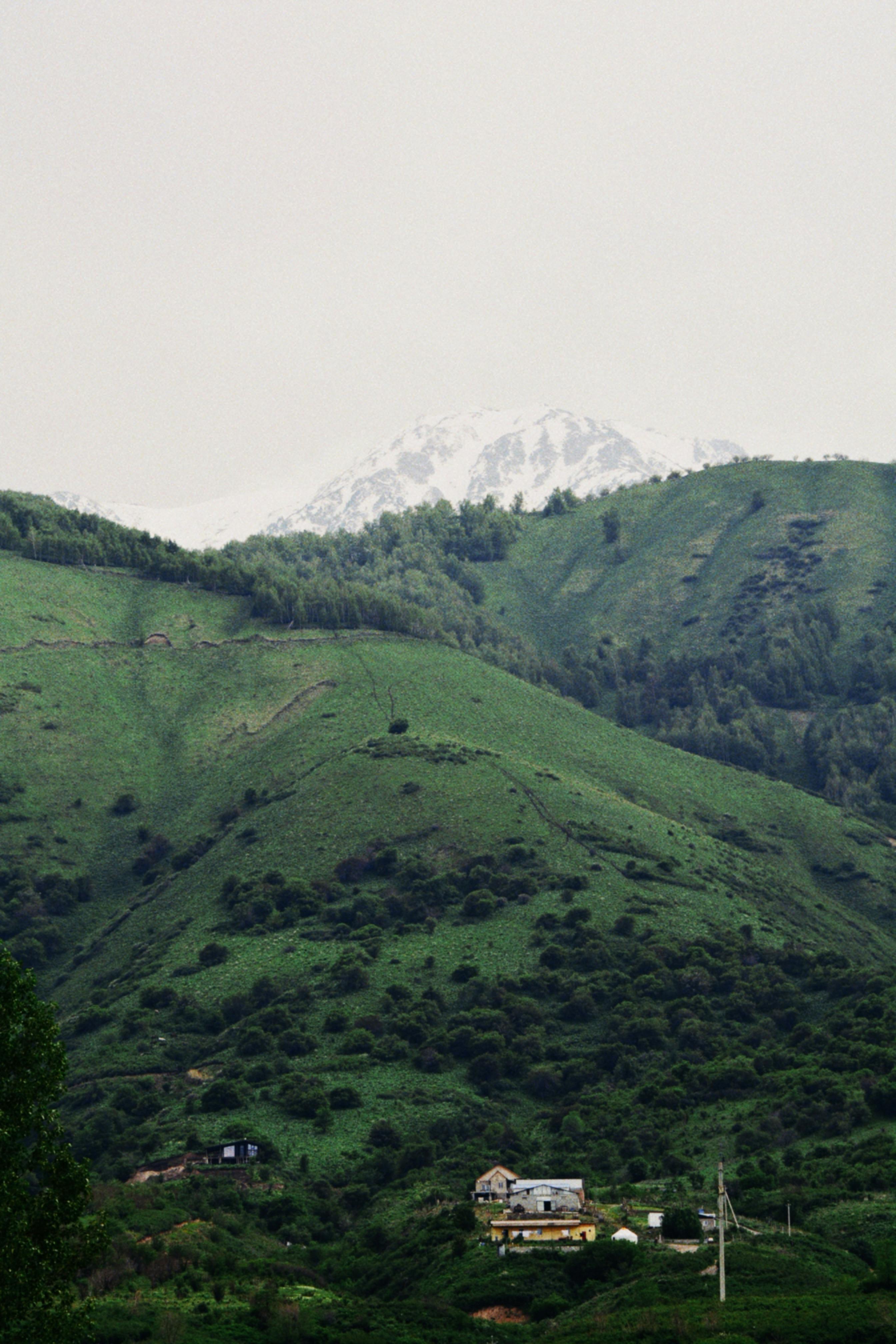 Picturesque landscape of Talgar, Kazakhstan, featuring green hills and snowcapped mountains.