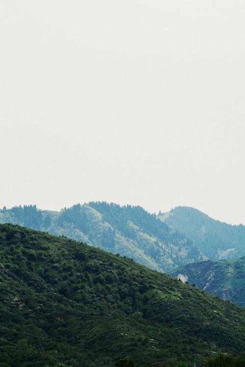 Gratis lagerfoto af bjerge, bjergkæde, grøn