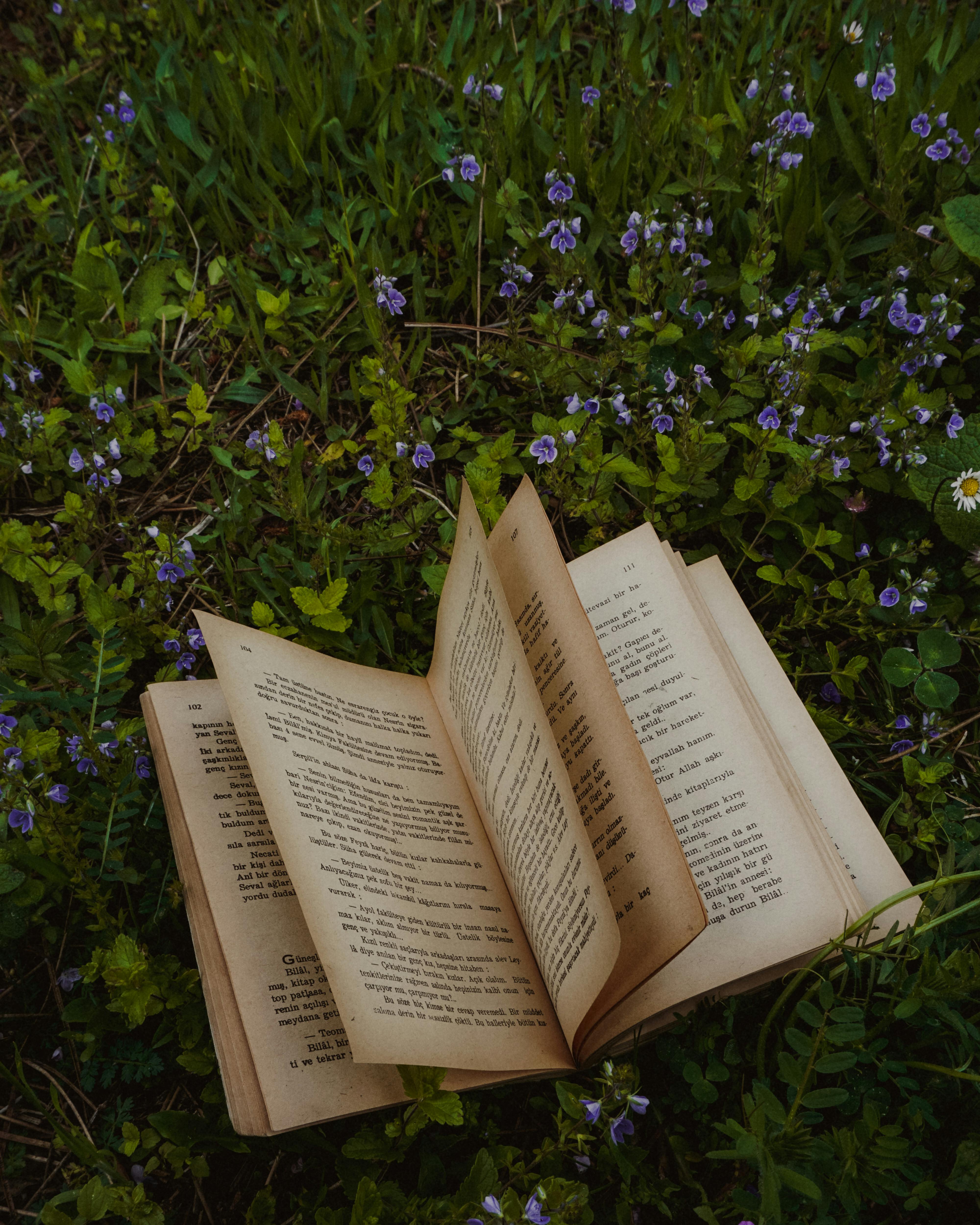 A Yellow Flower on an Open Book · Free Stock Photo