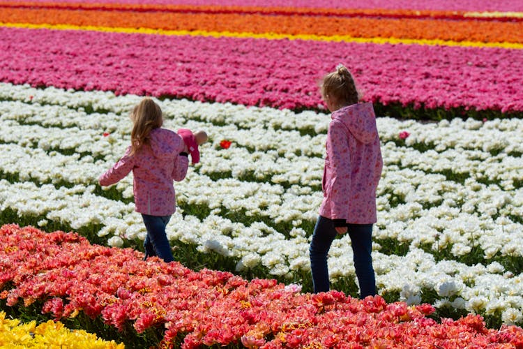 Girls Walking On Field Of Colorful Flowers