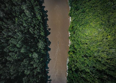 Meeting of the waters boat tour — Amazon — Brazil
