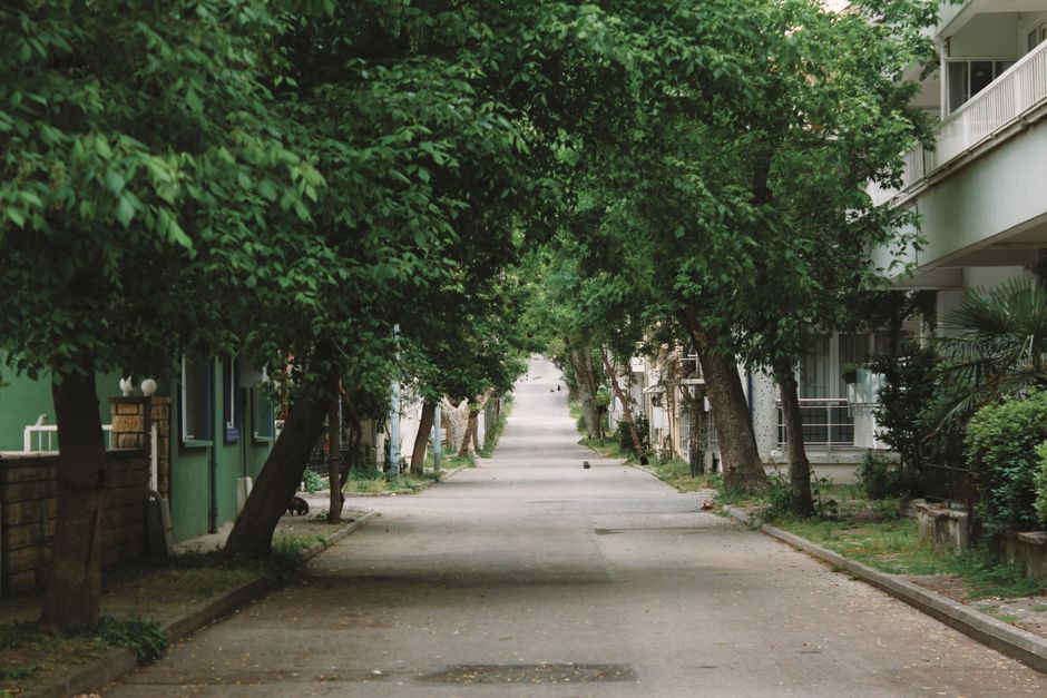 Probate in Lake County Illinois: A Plain-English Guide — inherited property guide, Illinois