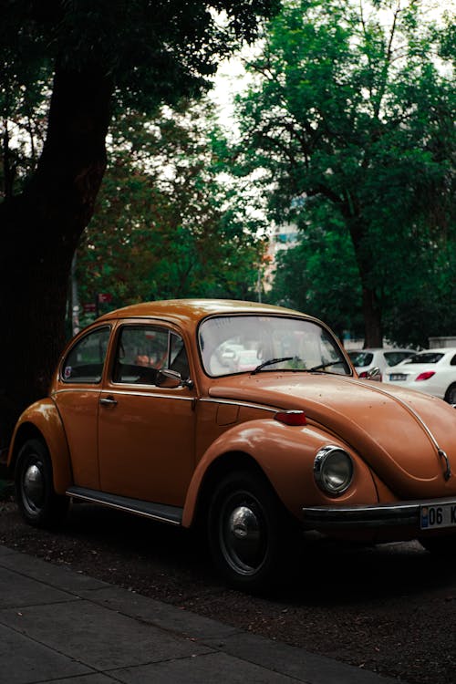Δωρεάν στοκ φωτογραφιών με vintage, volkswagen, Volkswagen Beetle