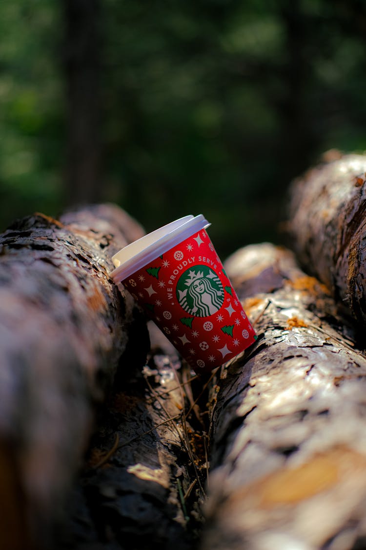 Red Disposable Starbucks Coffee Cup Lying On A Stack Of Wood Logs