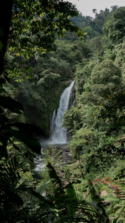 丘陵, 全景, 冒險 的 免费素材图片