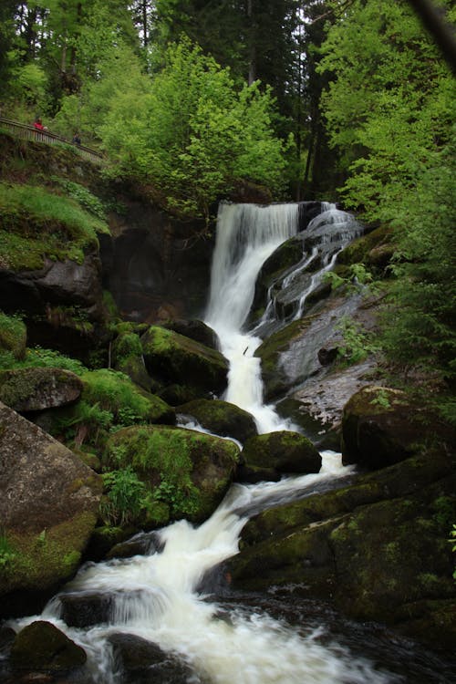 Waterfall in Forest