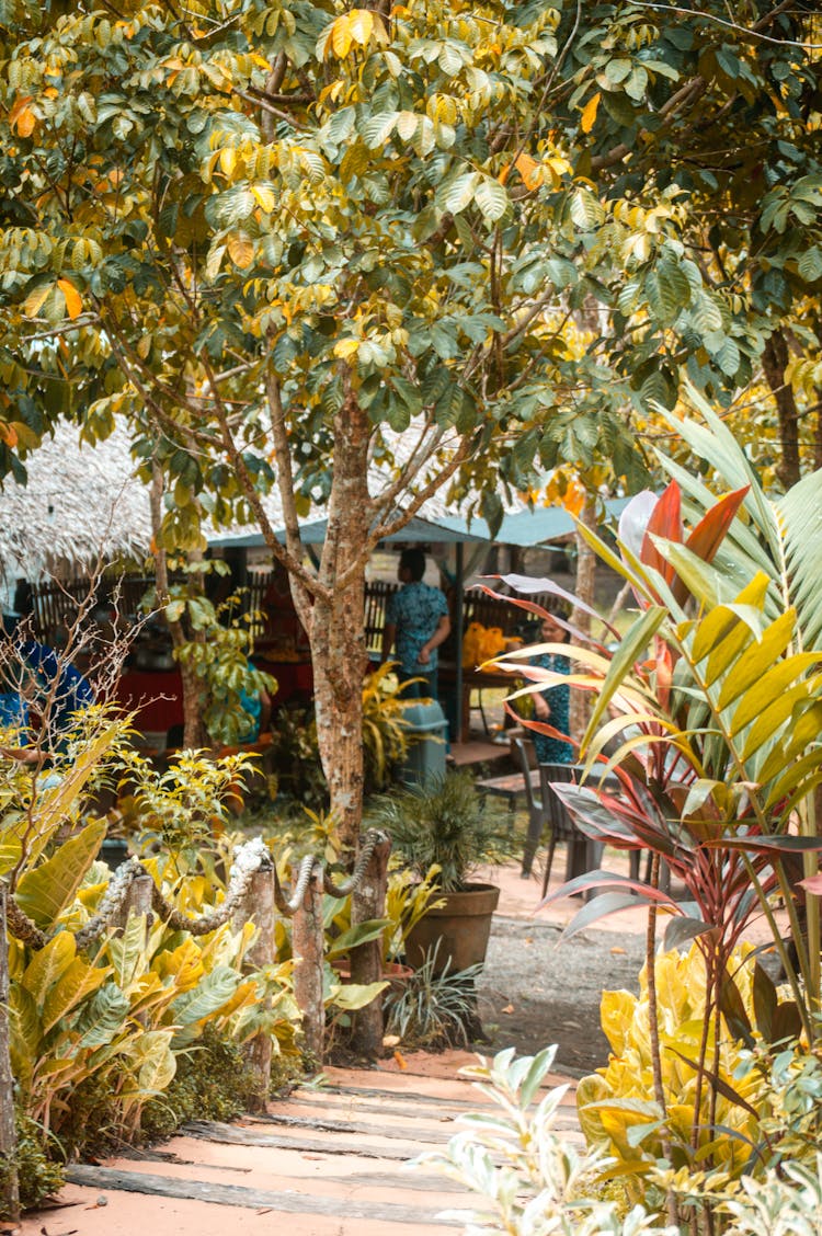 Footpath Leading To Outdoor Cafe In A Park