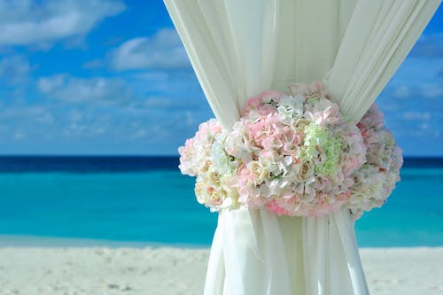 無料 昼間の白い砂浜の近くの白いカーテンの上のピンクの白い花びらの花 写真素材
