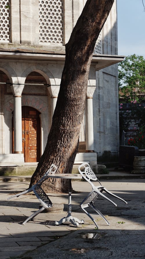 Folded Chairs and a Table under a Tree 