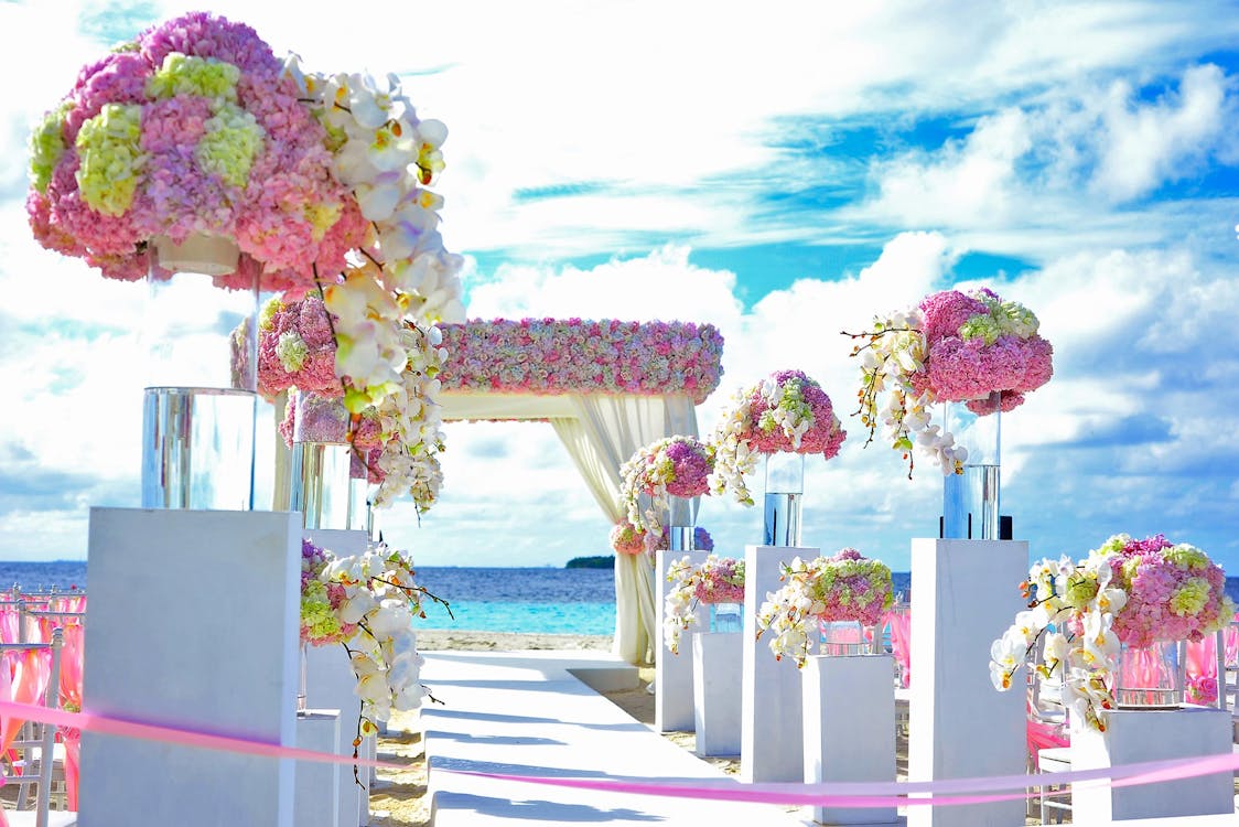 Pink, Yellow, and Purple Flowers Decor on Pathway