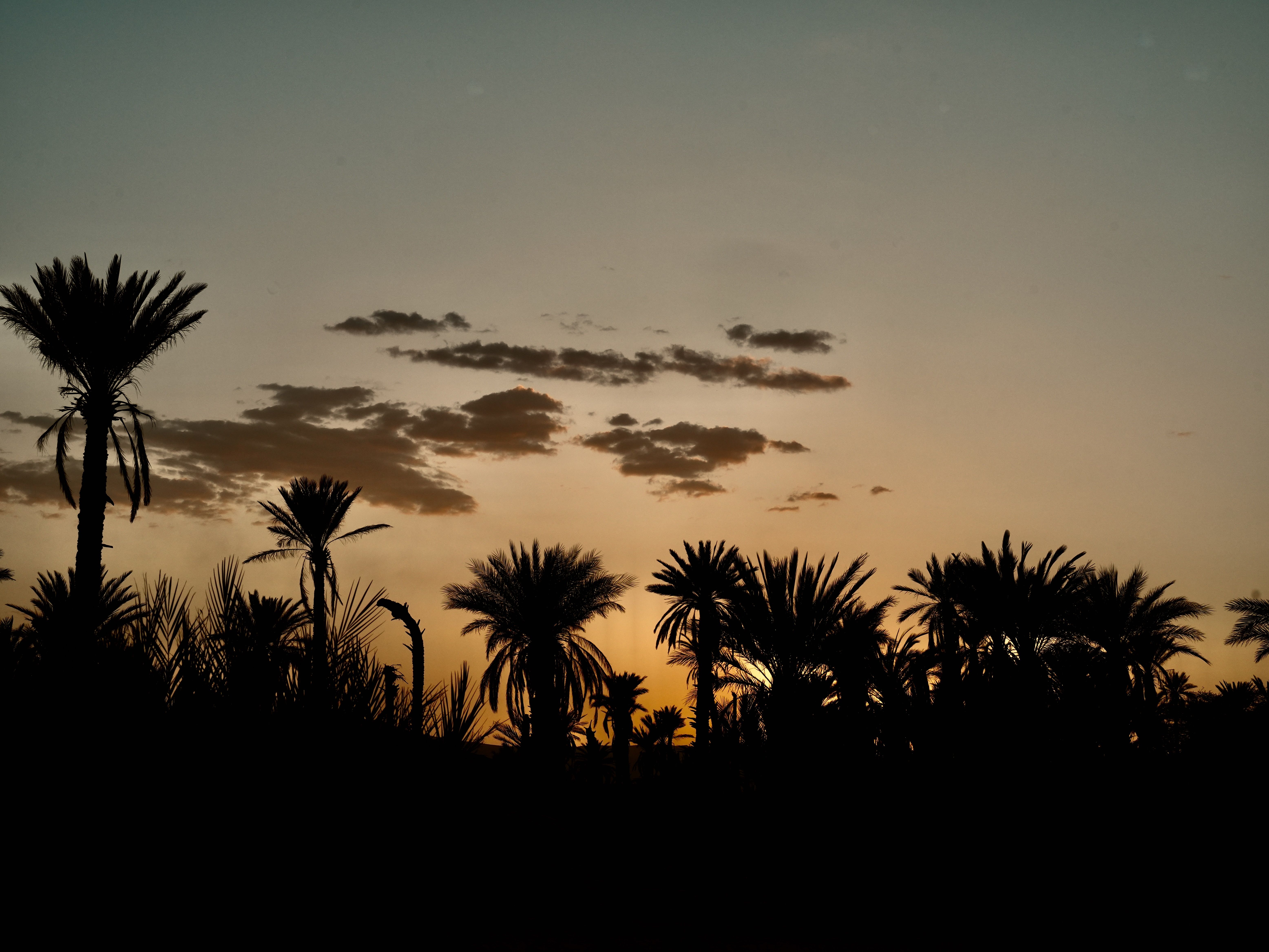 7 Day Destress Wellness Retreat in Morocco 2
