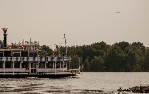 Free A picturesque vintage cruise ship sails along a tree-lined riverbank on a calm day. Stock Photo