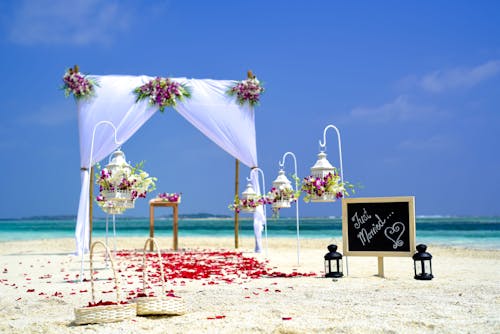Безкоштовне стокове фото на тему «берег моря, весілля, весілля фону»