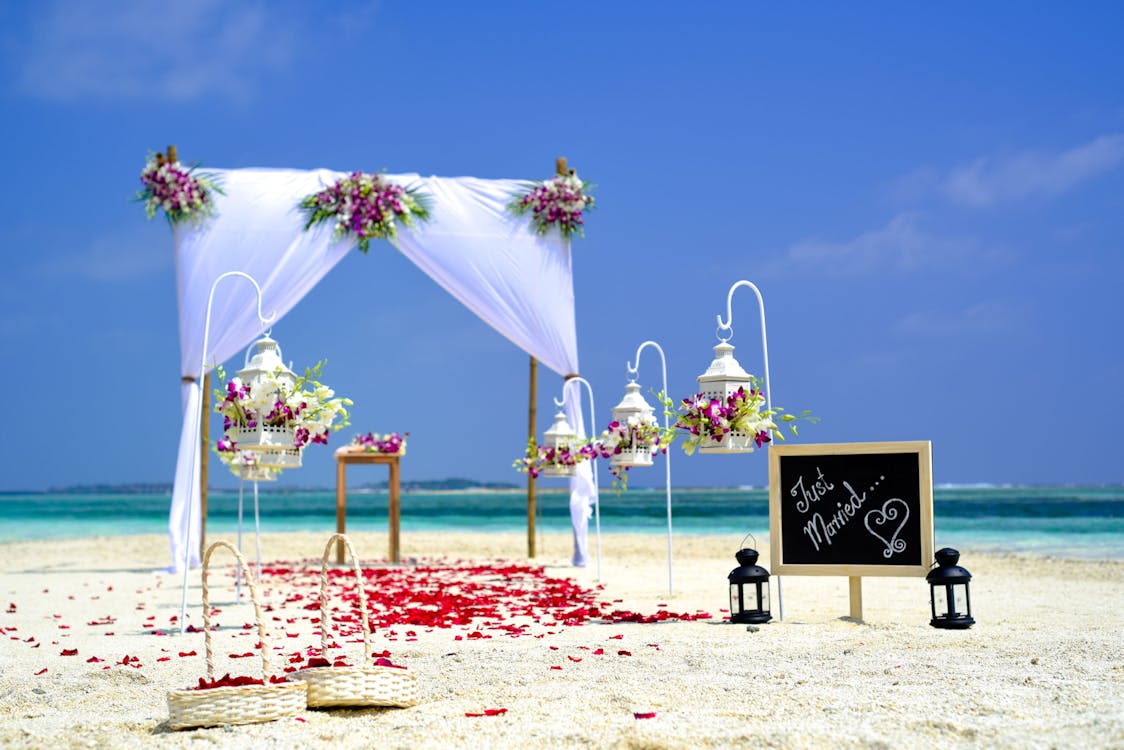 免费 海滩婚礼 素材图片