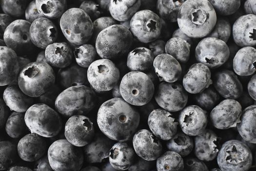 A detailed close-up of fresh blueberries covered in a natural frost, emphasizing texture and freshness.