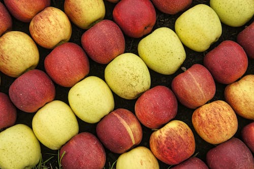 Gratis stockfoto met appels, bovenaanzicht, detailopname