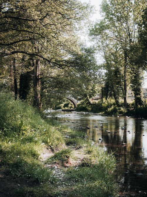 Free Peaceful river scene in Saint Asaph, Wales, with lush greenery and tranquil waters. Stock Photo