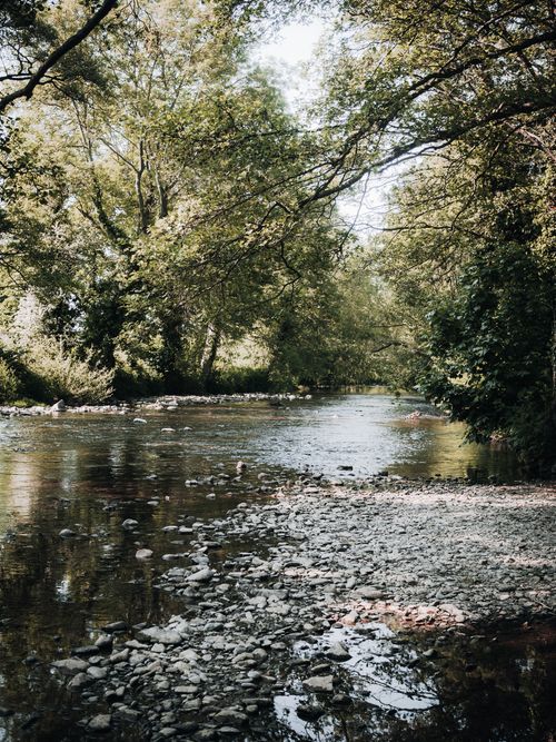 Free Serene river scene in Saint Asaph, Wales, surrounded by lush greenery and reflective water. Stock Photo