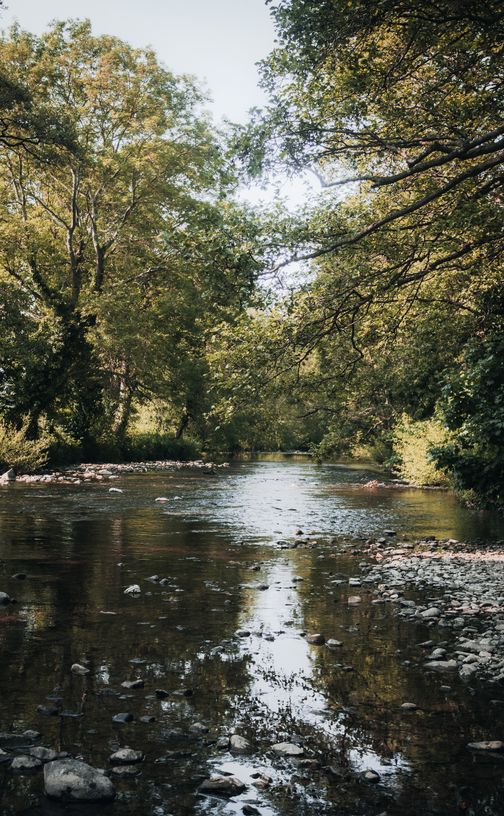 River Landscape Photos, Download The BEST Free River Landscape Stock ...