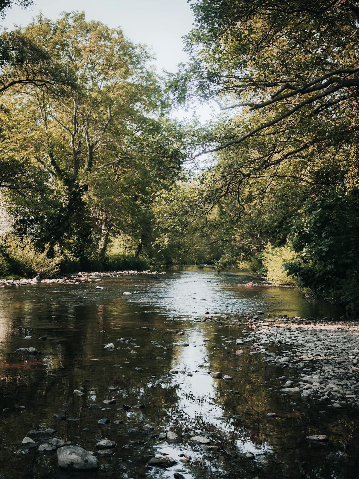 River Rocks Photos, Download The Best Free River Rocks Stock Photos 