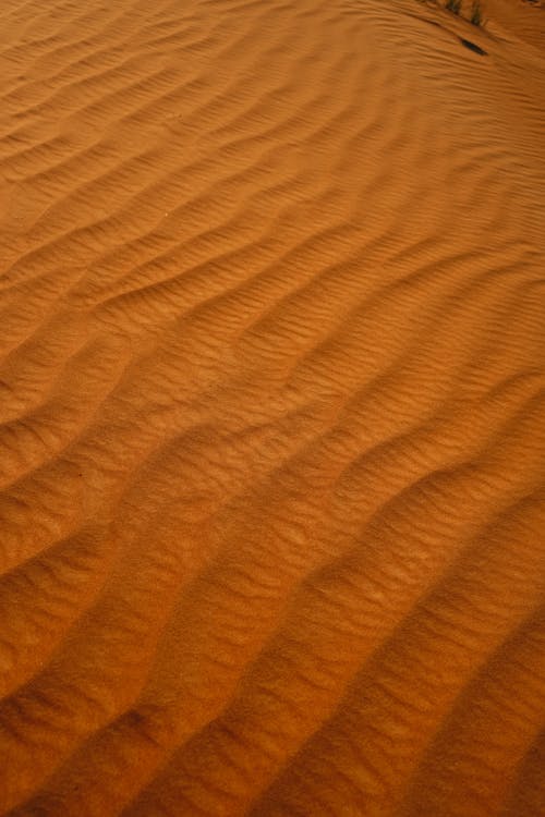 Foto stok gratis alam, gurun pasir, merapatkan
