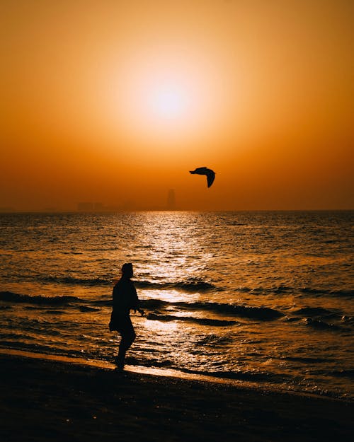 Sun and Bird over Person Standing on Beach at Sunset